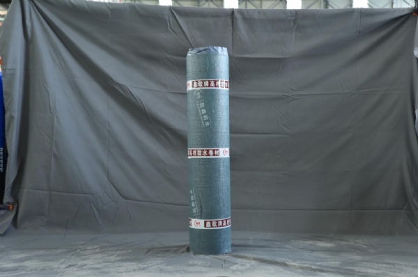 qq截图20210909054503